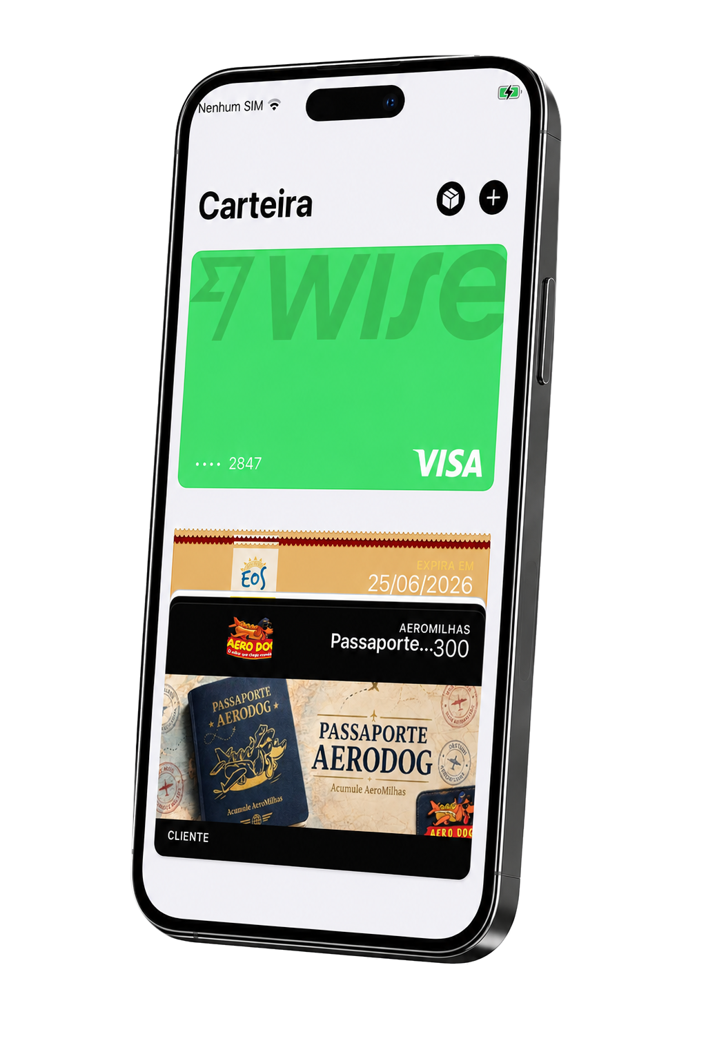 Carteira do cliente com cartão de crédito e cartões de fidelidade