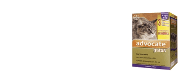ADVOCATE GATOS 4 A 8kg