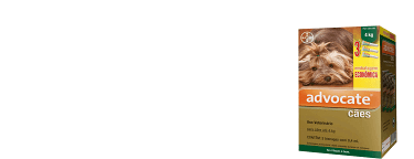 ADVOCATE CÃES ATÉ 4kg