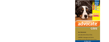ADVOCATE CÃES DE 25 A 40kg