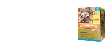 ADVOCATE CÃES DE 4 A 10kg